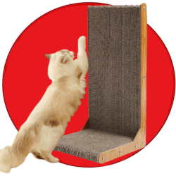 Katten Krabplank