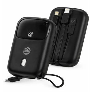 Samsung Galaxy S10 Powerbanks