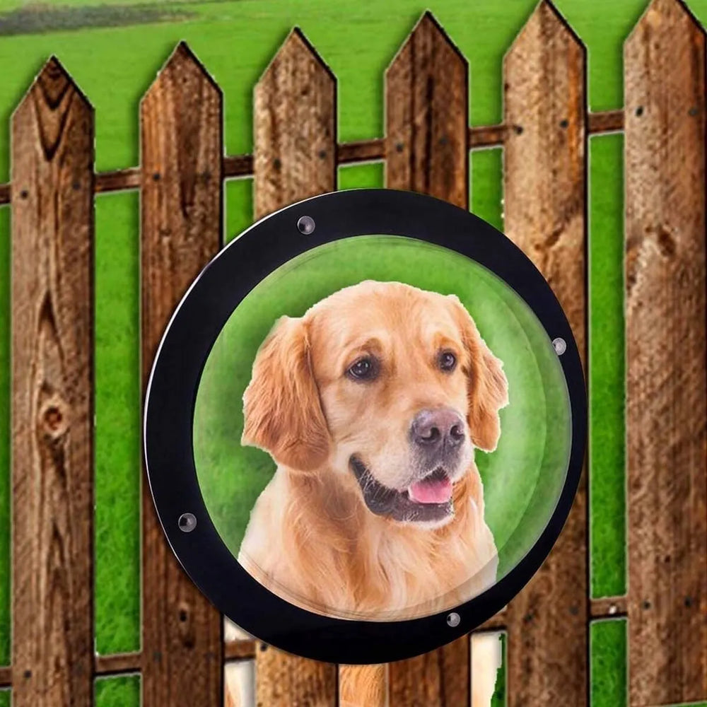 Hondenvenster voor Schutting – Transparant Acryl Kijkvenster – 31,5 cm – Hond & Kat Raam voor Hekwerk en Omheining-Ilumina Benelux