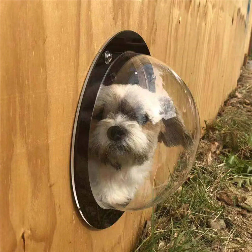 Hondenvenster voor Schutting – Transparant Acryl Kijkvenster – 31,5 cm – Hond & Kat Raam voor Hekwerk en Omheining-Ilumina Benelux