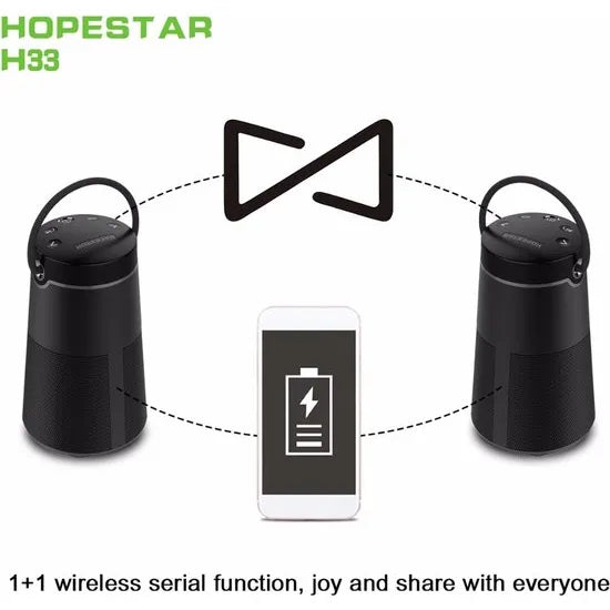 HOPESTAR H33 Premium Bluetooth Speaker – Draagbare Draadloze Speaker met FM Radio & Powerbank – Goud-Ilumina Benelux