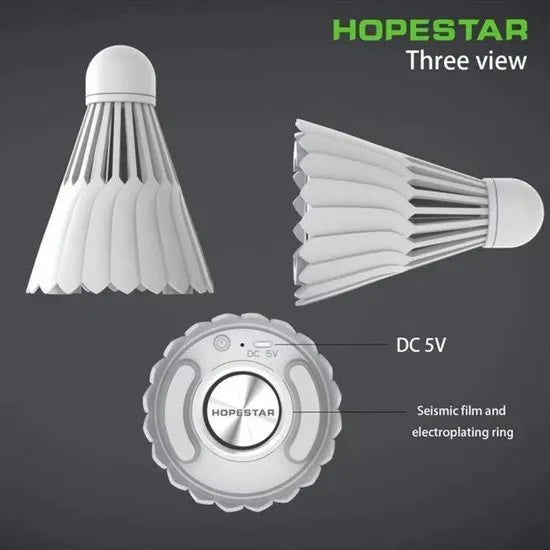 Hopestar H52 Draadloze Bluetooth Speaker – Portable Outdoor Speaker – 20W – Zilver-Ilumina Benelux