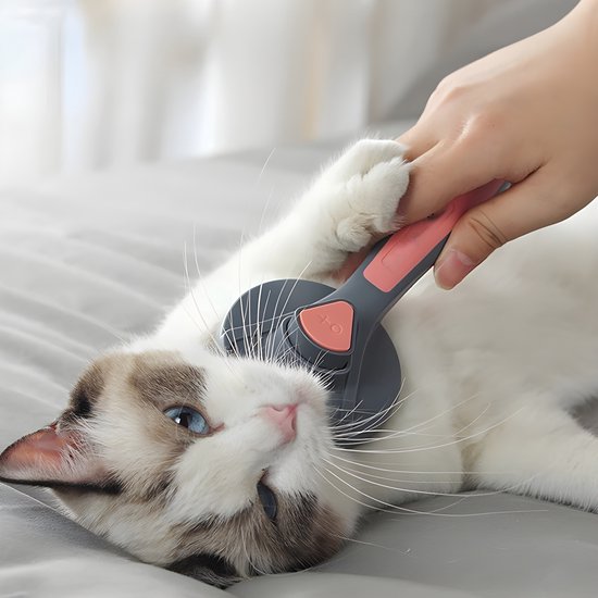Kattenborstel – Zelfreinigende kattenkam – Massageborstel – 19,3 cm – Groen-Ilumina Benelux
