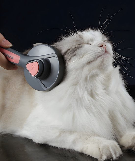 Kattenborstel – Zelfreinigende kattenkam – Massageborstel – 19,3 cm – Grijs