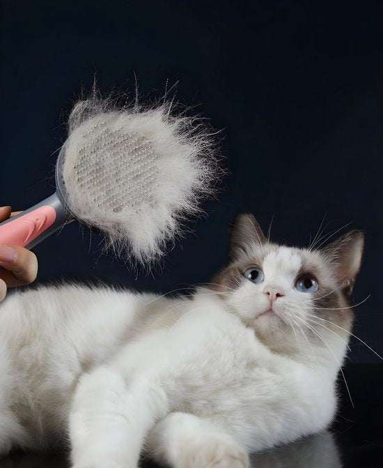 Kattenborstel – Zelfreinigende kattenkam – Massageborstel – 19,3 cm – Grijs