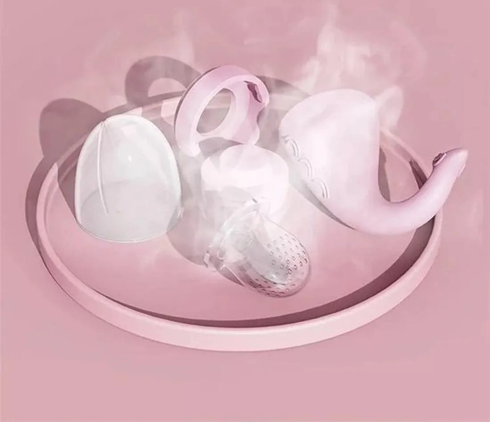 Fruitspeen baby – Siliconen fruitzuiger & bijtring – Anti verstikking – BPA-vrij – Roze-Ilumina Benelux