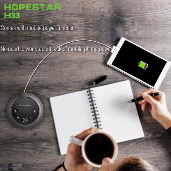 HOPESTAR H33 Premium Bluetooth Speaker – Draagbare Draadloze Speaker met FM Radio & Powerbank – Goud-Ilumina Benelux